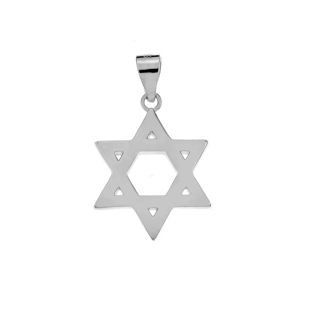 Sterling Silver Enamel Star of David Reversible Pendant