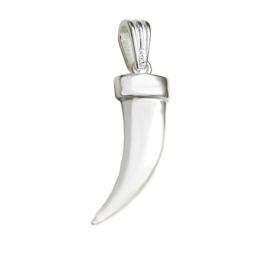 Polished Horn Pendant